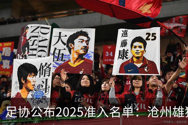 足协公布2025准入名单：沧州雄狮、广州队无缘
